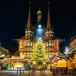 Fewo Gemuetliche Residenz Mit Holzofen-Sauna Von Harztraveler