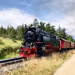 Fewo Gemuetliche Residenz Mit Holzofen-Sauna Von Harztraveler